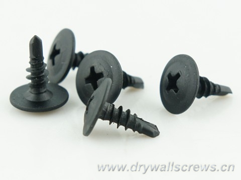 Transhow wafer head drilling screws